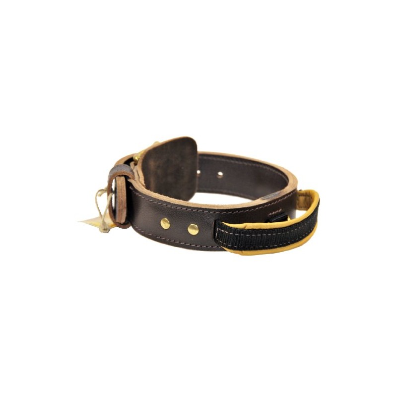 Dean and Tyler SIMPLICITY, Leather Dog Collar with Handle and