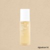 Palms IBC Terra Solution Mist 100ml / 팜스아이비씨 테라 솔루션 미스트 100ml