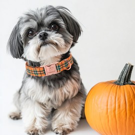 Babole Pet Fall Dog Collar for Puppy Small Dogs - Vintage Fall Orange Green Plaid Dog Collars, Soft Adjustable Holiday Pet Cotton Collar with Safety Buckle XS