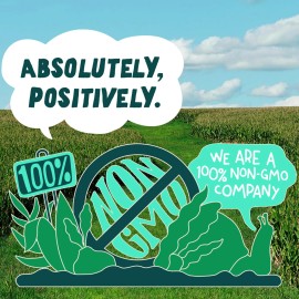 Sir Kensington's 12oz Chipotle Mayo Non GMO Condiment Pack of 2