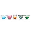 Tsugaru Biidoro Mini Glass Set Glass Five Different by Aderia