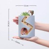 Generic Plantas Macetas Regalo Creativo Maceta Suculenta Escritorio