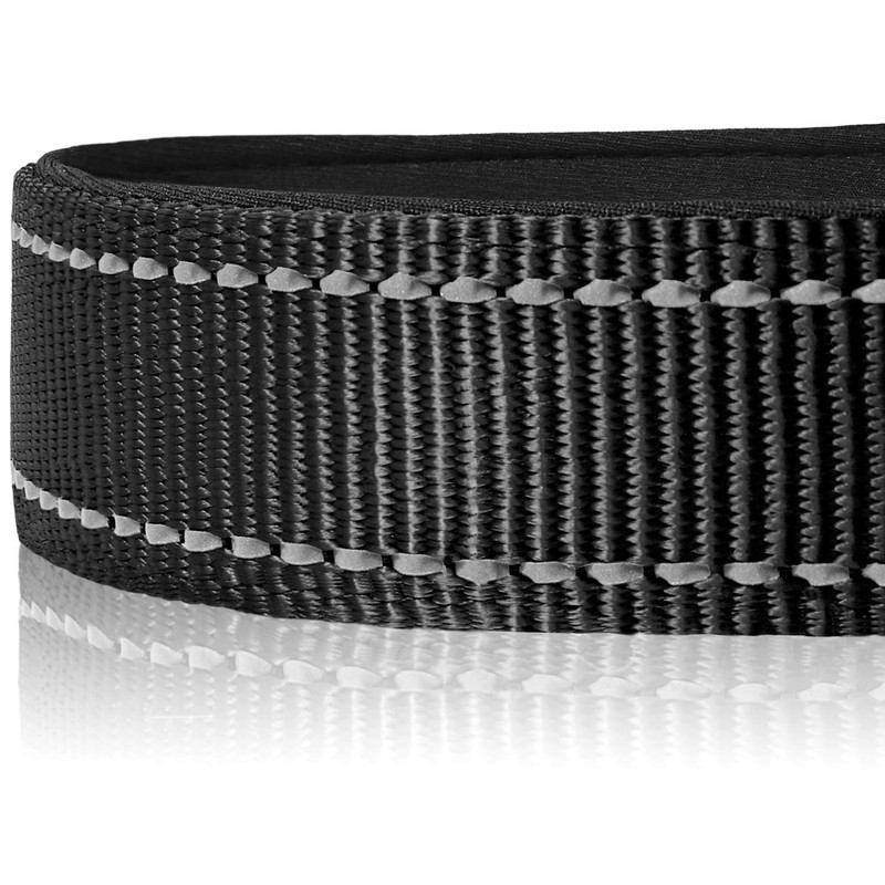 Joytale Dog Collar, Reflective Padded Neoprene Pet Collar, Adjustable Nylon