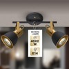 ARTE LAMP Ceiling Light for 2 LED Lamps - Ceiling