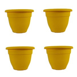 The HC Companies 6 Inch Caribbean Planter - Lightweight Indoor Outdoor Plastic Plant Pot for Herbs and Flowers,Honey (4 Pack)