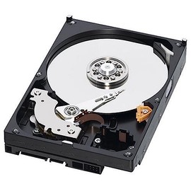 Western Digital RE2-GP Enterprise 1 TB Bulk/OEM Hard Drive 3.5 Inch, 16 MB Cache, 5400RPM SATA II WD1000FYPS