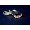 Jackall RV-Drift Claw Worm 4.0" RV Black