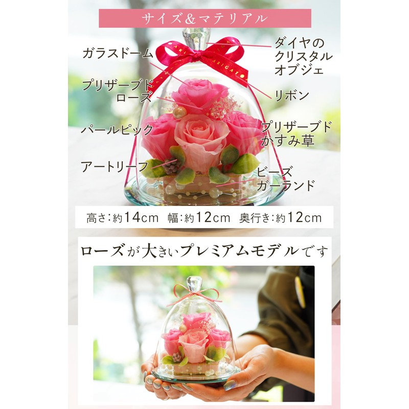 IPFA Preserved Flower, Glass Dome, Elegance, Premium (Thank You Model),