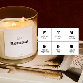 Public Goods Scented Soy Candle for Women & Men | Large 3 Wick Glass Candle | Long Lasting & Non Toxic | Made with Natural Soy Wax & Organic Essential Oils | Gift Box | 12.3oz Jar | Black Currant