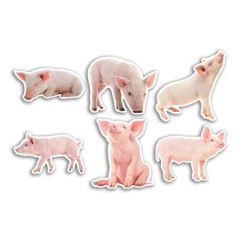 6 x 10cm Pig Vinyl Stickers - Farm Farmer Piglet Funny Animal Pattern Nature Pets Face Wild Girls Boys Travel Scrapbooking #80816