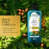 Shampoo Herbal Essences BioRenew Argan Oil Of Morocco 400 ml