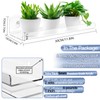 Skewo 2 Pack 12 Inch Acrylic Window Boxes Plant Shelves,