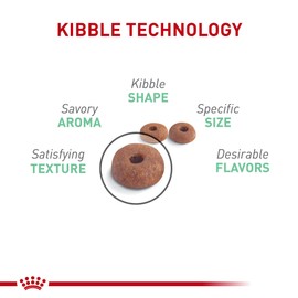 Royal Canin Feline Care Nutrition Digestive Care Adult Dry Cat Food, 3 lb Bag