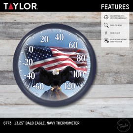 Taylor Bald Eagle Indoor Outdoor Dial Thermometer, Easy to Read Wall Decor for Patio, Pool, Yard, Garden or Garage, 12x14-inch, Charcoal Bezel