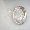 [Abalone Shell] Natural Seashell Dish, Smudging, Purifying, Cleansing, Meditation, White,