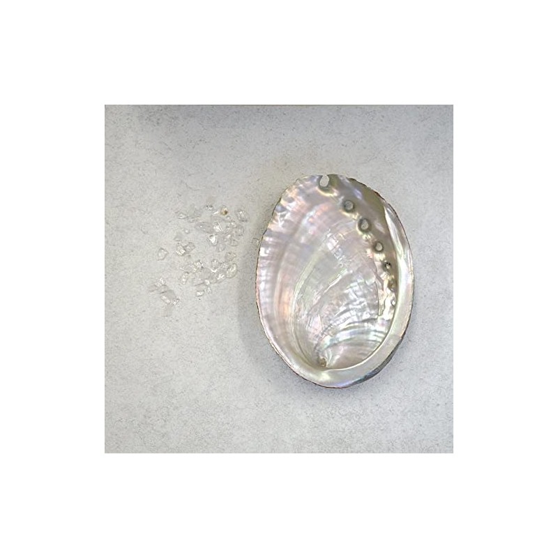 [Abalone Shell] Natural Seashell Dish, Smudging, Purifying, Cleansing, Meditation, White,
