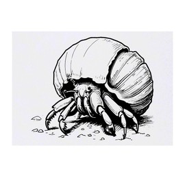 Large 'Hermit Crab Crawling On Beach' Temporary Tattoo (TO00071677)