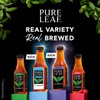 Pure Leaf Iced Tea, Blackberry, 18.5 Fl Oz Bottles (Pack