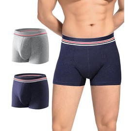 Washable Incontinence Underwear for Men with Front Absorbent Urine 80ml Mens Incontinence Underwear Waterproof Leak Proof Underwear for Men Reusable Incontinence Boxer Briefs 2 Pack, Large