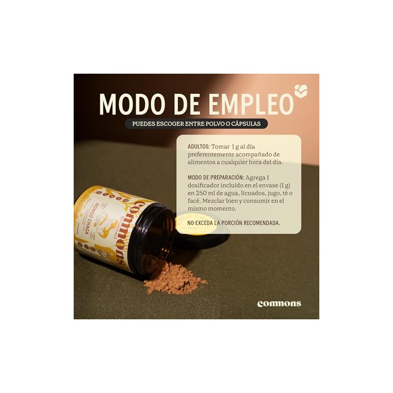 Commons Hongos Adaptógenos Hongo Chaga Extracto Puro Polvo 100 Suplemento