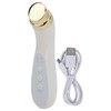 Facial Beauty Massager Hot Compress Vibration EMS Microcurrent Skin Tightening