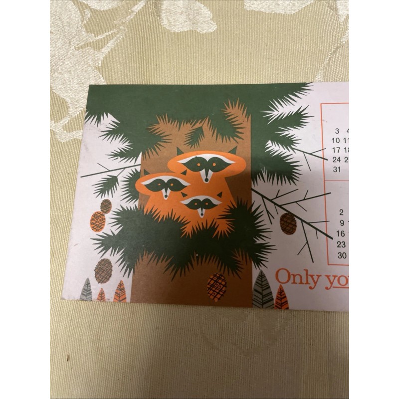 1966 Smokey The Bear / New Jersey Forest Fire Service