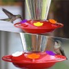 Hummingbird Feeders for Outdoors,30 Pcs Hummingbird Feeder,Hummingbird Feeder Replacement Parts,hummingbird
