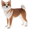 Lesser & Pavey Standing Red Akita