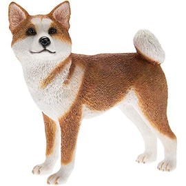 Lesser & Pavey Standing Red Akita