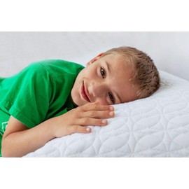 Excel Sleep® Shredded Gel Memory Foam Pillow (Queen) Made in The USA (1, Queen - 20" x 30")