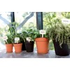 Elho Green Basics Growpot 21 - Growpot - Mild Terra