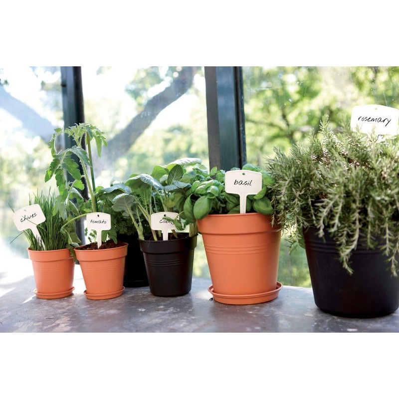 Elho Green Basics Growpot 21 - Growpot - Mild Terra