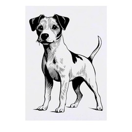'Jack Russel Terrier Full Body' Temporary Tattoo - Water Resistant, Skin-Safe, Non-Toxic Transfer (TO00066661)