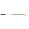 BLACK+DECKER 8 Amp 10 in. 2-In-1 Electric Pole Chainsaw -