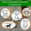 Frog Equilibrium Express - Natural, Repairing and Protective Care for