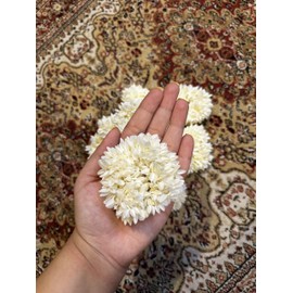 AnNafi® Mogra White Gajra For Indian Bridal Hairstyle | Handmade Jasmine Flower Hair & Hand Accessory | Bulk Flower Rubber Bands (4, Plain White)