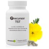PRECURSOR TST * 120 Capsules * Energy, Emotional Balance, Immunity,