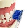 Ebis Pro Grip Brush Type I Regular Set of 3,
