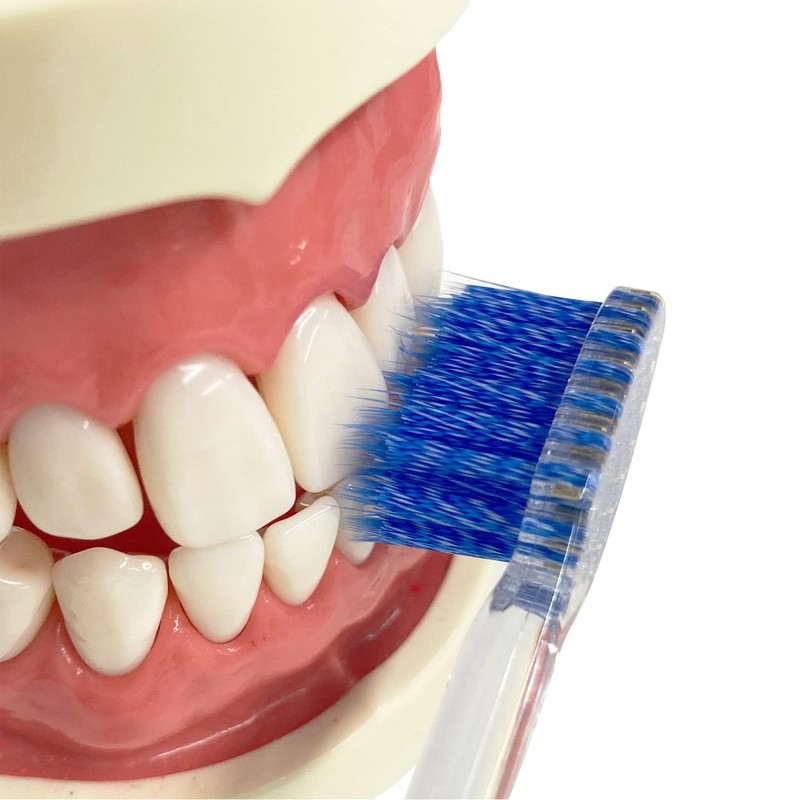 Ebis Pro Grip Brush Type I Regular Set of 3,