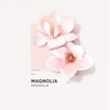 SOLINOTES Magnolia Perfume for Women - Eau De Parfum |