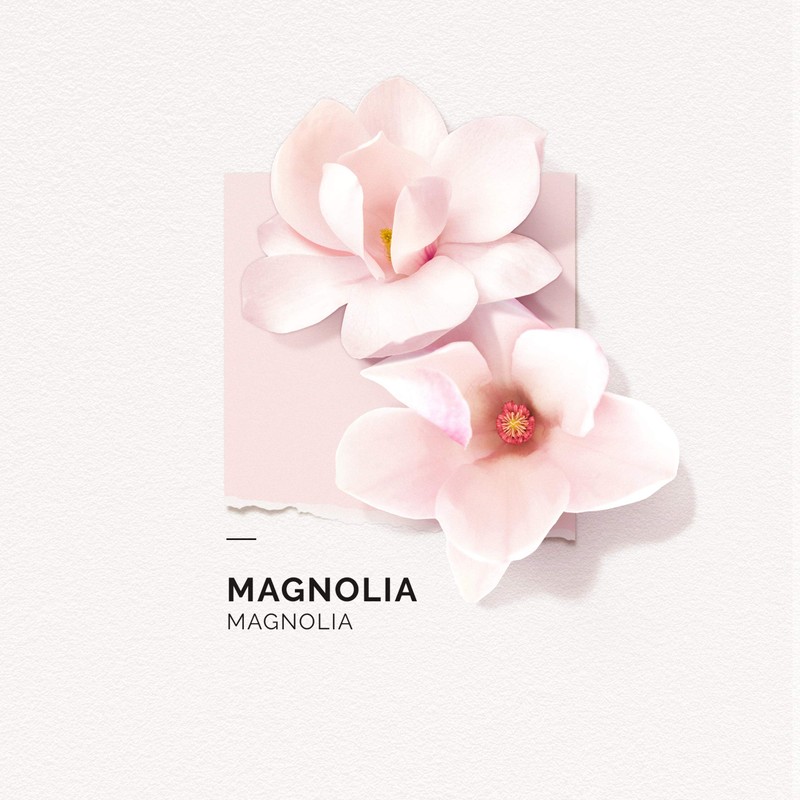 SOLINOTES Magnolia Perfume for Women - Eau De Parfum |