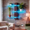 3 Tier Acrylic Wall Mounted Display Shelf with Lighting Display