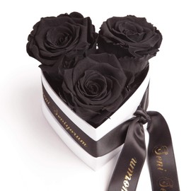 ROSEMARIE SCHULZ Heidelberg Infinity Rose Box Heart - 3 Real Roses Preserved Durable 3 Years 10 x 12 cm - Seni Seviyorum Hediye Special Gifts for Girlfriend Proof of Love (Seni Seviyorum, Black)