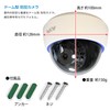 SKY Electronics Security Camera Dummy Camera Dome 1