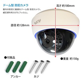 SKY Electronics Security Camera Dummy Camera Dome 1