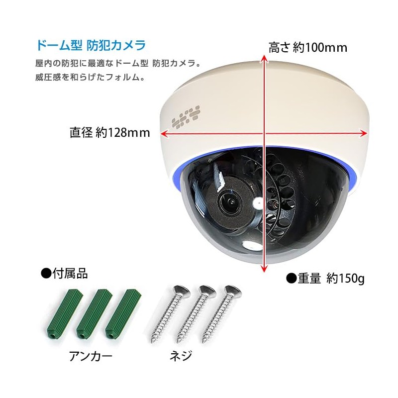 SKY Electronics Security Camera Dummy Camera Dome 1