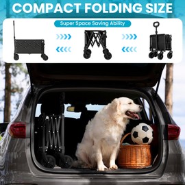 Canpsky Collapsible Wagon with Tailgate, Wagons Carts Foldable with 350lbs Capacity, Lightweight Portable Utility Wagon Cart for Shopping Camping Sports Garden