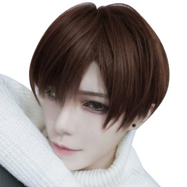 ARZER Premium Wig, Men's Wig, Short, Men's Clothing, Charisma (Recommended by Stylist Professionals), Natural, Breathable, Disguise, One Size Fits Most, With Net, Heat Resistant (Dark Brown)