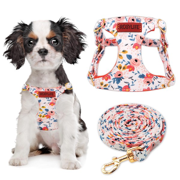 No Pull Dog Harness Adjustable Small pet Harness and Leash