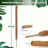 Monstera Stanches 1 Pack 120cm, Higo Stanches Can Be Bended